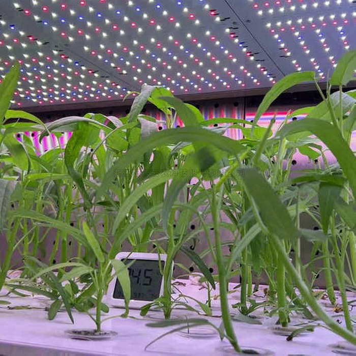 97���ʡ�(�й���)���޹�˾����