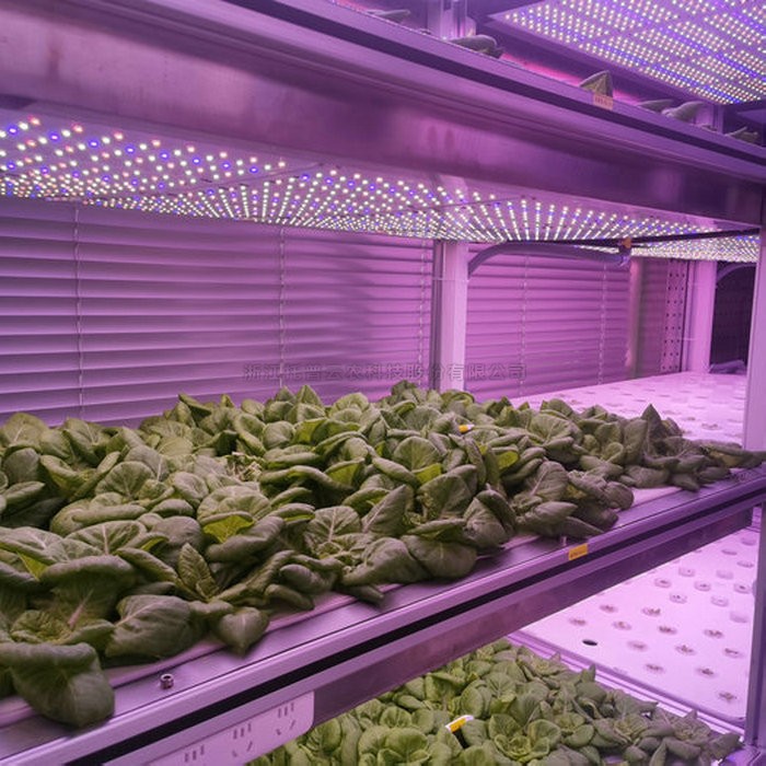 97���ʡ�(�й���)���޹�˾����