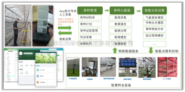 ���л����ǻ����ּƻ�