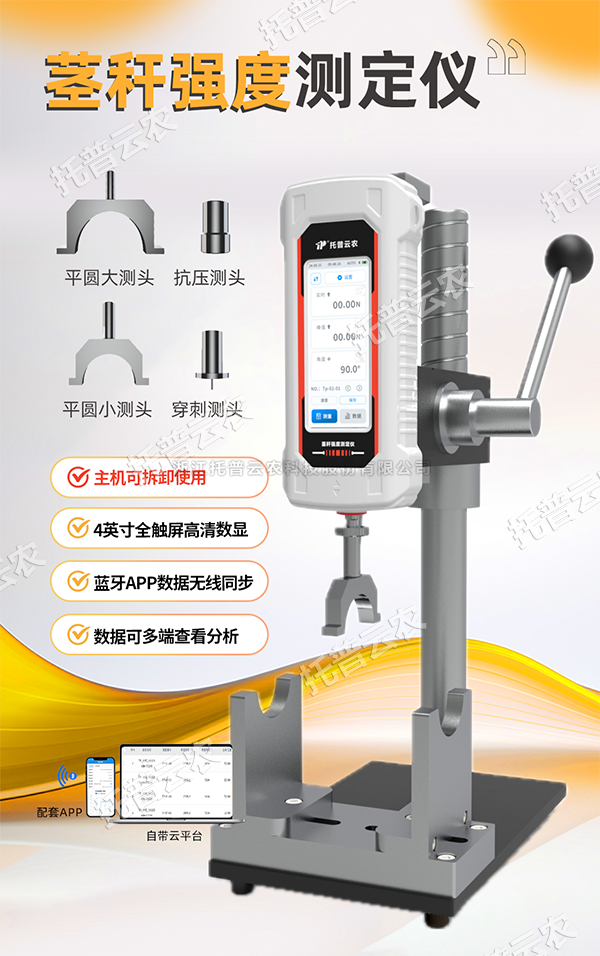 �⾥�ѣ��������������ɣ����վ���ǿ�Ȳⶨ��ȫ������