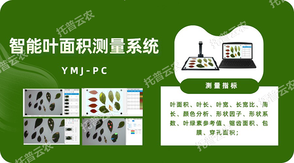 ����Ҷ�������ϵͳ�����뼶���ٲ�ҶƬ���������������ͬ�����������������ƶ����ݺ�����