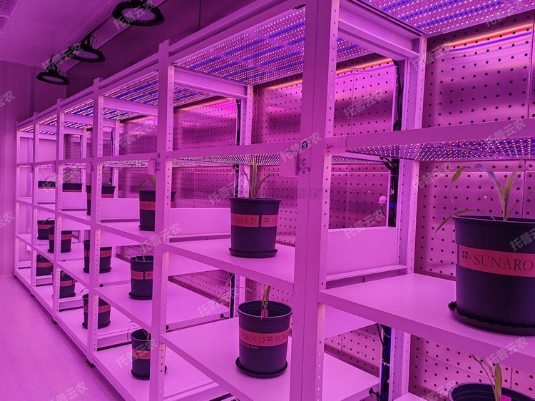 97���ʡ�(�й���)���޹�˾����