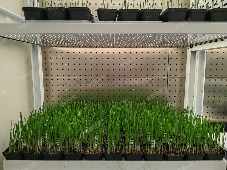 97���ʡ�(�й���)���޹�˾����