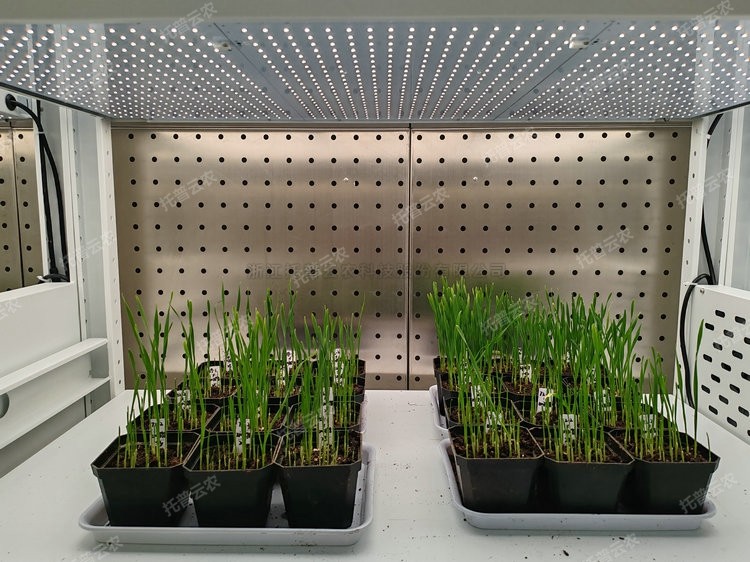 97���ʡ�(�й���)���޹�˾����