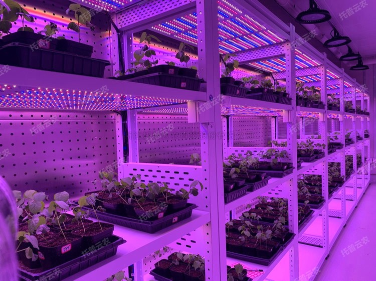 97���ʡ�(�й���)���޹�˾����