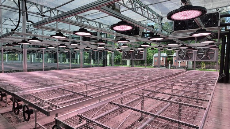 97���ʡ�(�й���)���޹�˾����