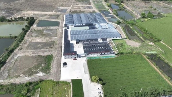 ��̫��������룡97���ʸ߱�׼ũ��ȫ�����ƻ������������������ø����ú�