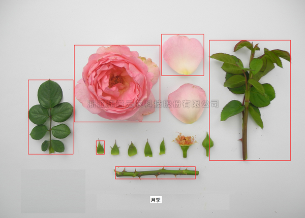 97���ʡ�(�й���)���޹�˾����