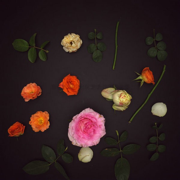 97���ʡ�(�й���)���޹�˾����