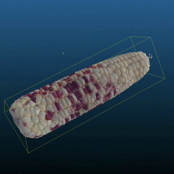 97���ʡ�(�й���)���޹�˾����