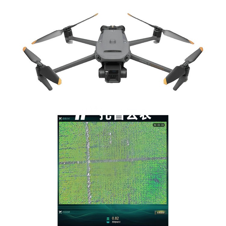 ���ױ����������׼��ϵͳ TP-DGP-YM