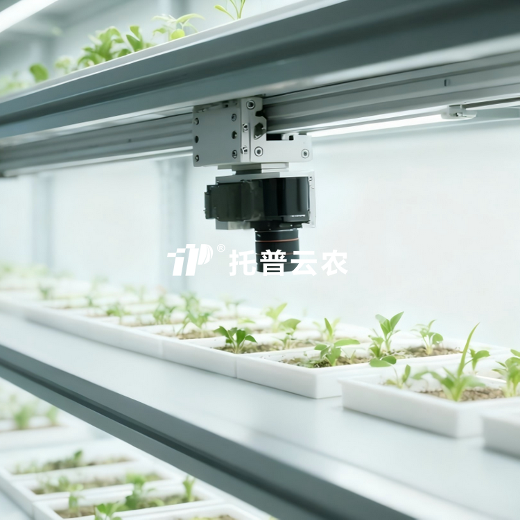 �˹�������ֲ����ͼ��ϵͳ TP-PlantPhy