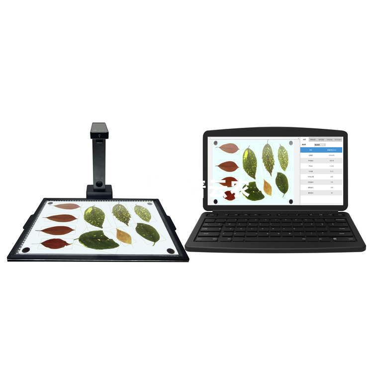 ����ʽҶ�����YMJ-PC