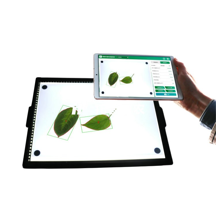 ����Ҷ���������YMJ-CHA3