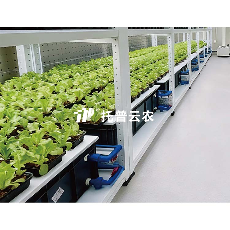 97���ʡ�(�й���)���޹�˾����