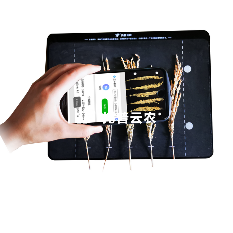 ������̬������ TPDS-X-1