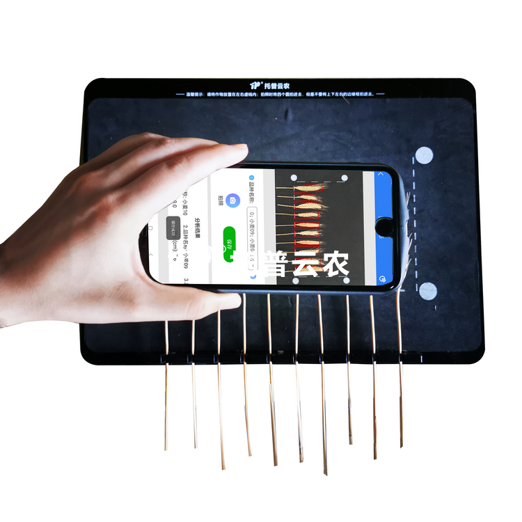 ������̬������