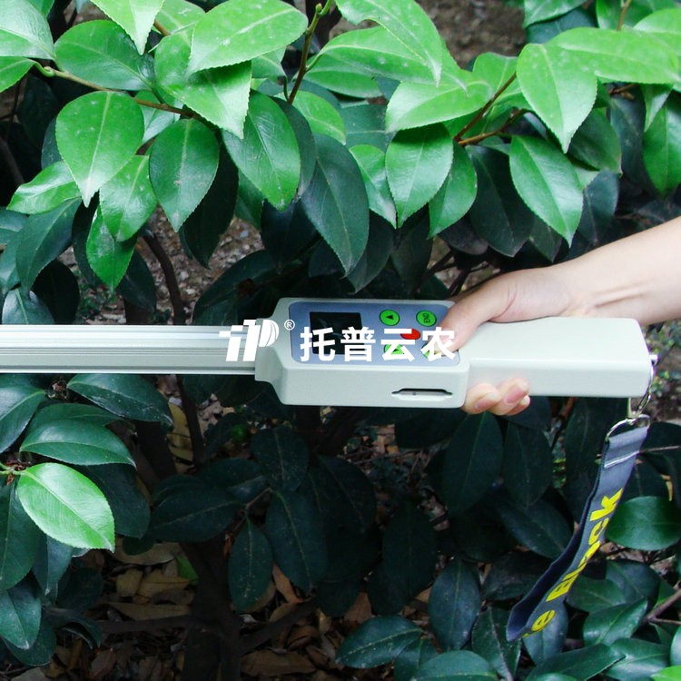 ֲ��ڲ�������TOP-1000