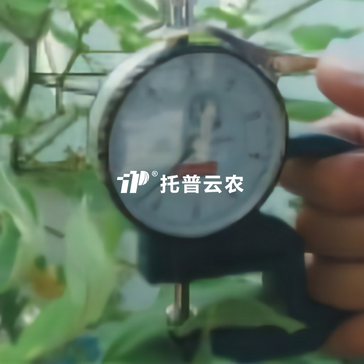 ҶƬ��Ȳⶨ��YH-1