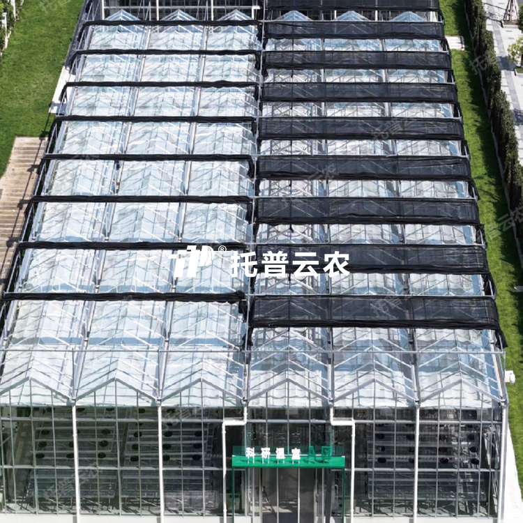 �������˹�������/