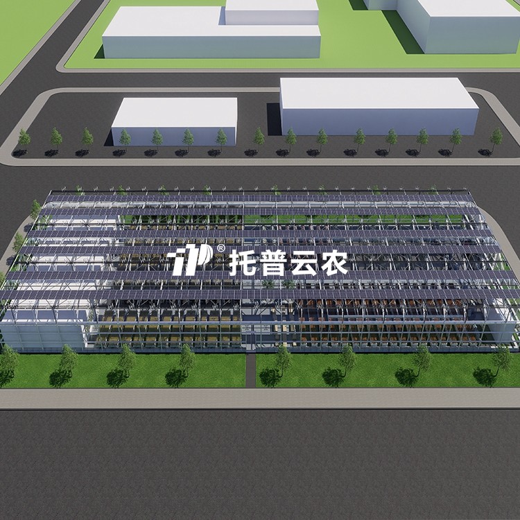 ������ֲ�﹤��TP-ZWGCϵ��