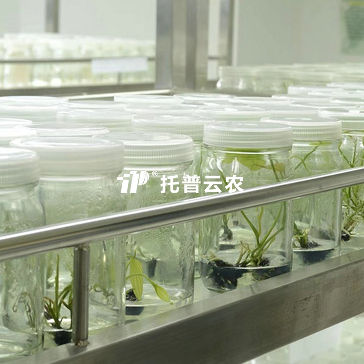 �Թ������Ŀ�/