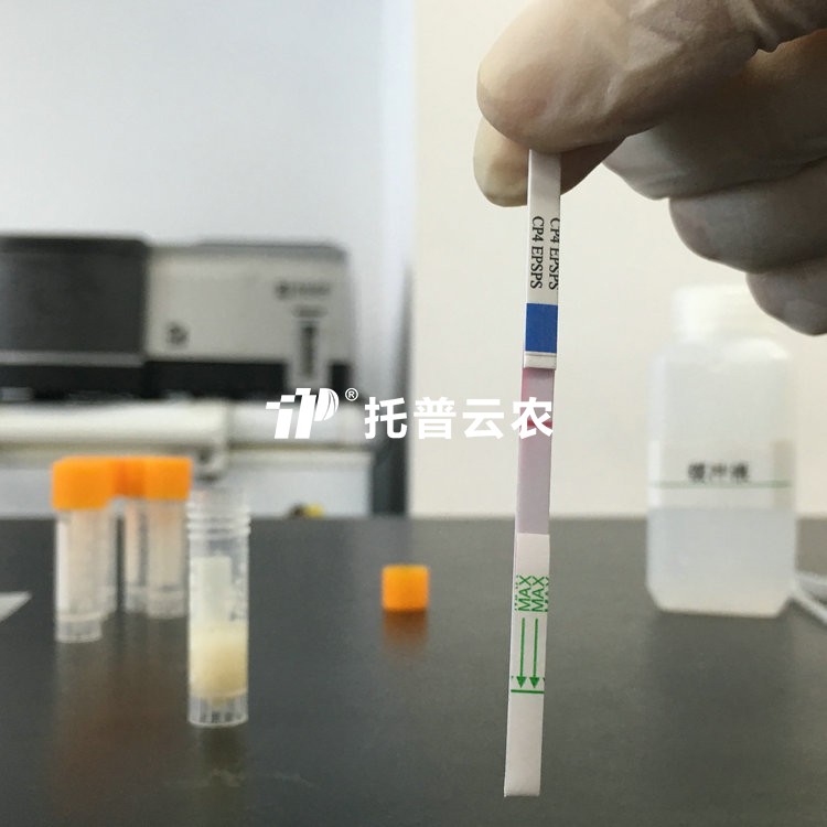 ת������ټ����ֽ�������ݼ���EPSPSCP4