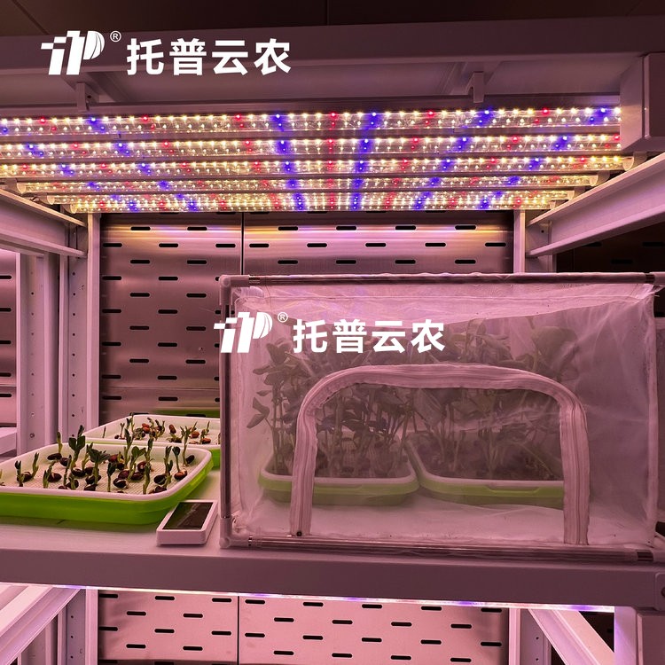 ���ù�Դ�˹���������ʲô��������������