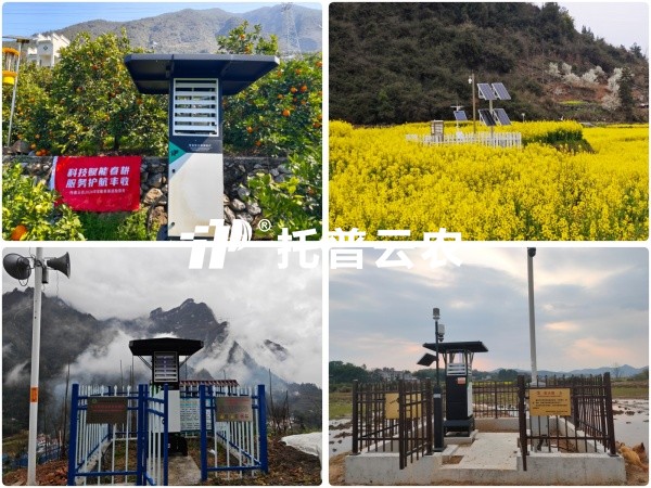 ��¢�ϵĴ����ػ���ح�����ﱳ�󣬣��������������������˵�רҵ�����