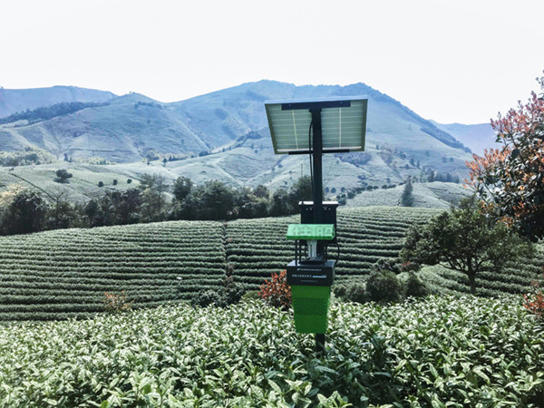 ���ղ�԰����������ƻ����ư��������ִ���...