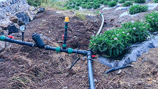 �˲ι�԰����ǶƬʽ�ι�ģʽ