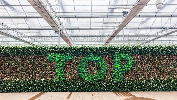 97¹ú¼ÊÈ«×Ô¶¯ÍйÜÖÇÄÜÎÂÊÒ´óÅï 97¹ú¼ÊÈ«×Ô¶¯ÍйÜÖÇÄÜÎÂÊÒ´óÅï