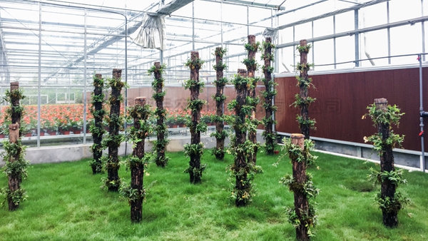 Á¢ÌåÝªÖ²Çø Á¢ÌåÝªÖ²Çø