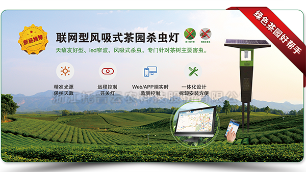 �����ͷ���ʽ��԰ɱ���