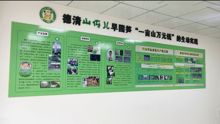 ����ɽ�����԰�����չʾ����