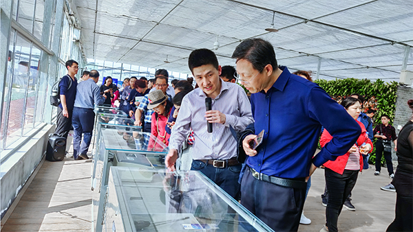 97���ʸ���˾����������ѵ���������������ն�