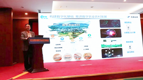 97���ʸ���˾��Ǯ������97�������ƽ�����ũҵũ�岿���еĶ�λ