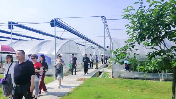 ��ѵ�ඥ�ſ������ɽ��ũ�������ֻ���