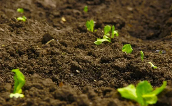 ÍÁÈÀÓлúÖÊ ÍÁÈÀÓлúÖÊ