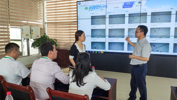  ���񻪸���˾���������Χ�Ƴ���ⱨ���뽻��