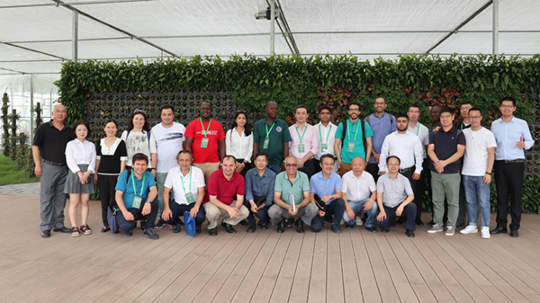 ��Ӱ����