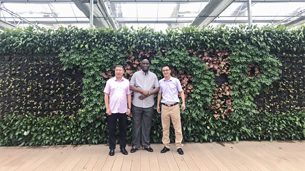 ��ǿ���ʻ���������������ũҵ�����г�����97����