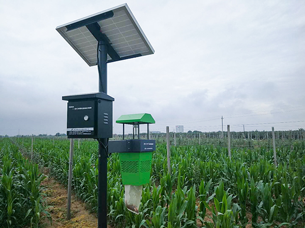 ·çÎüʽɱ³æµÆ ·çÎüʽɱ³æµÆ