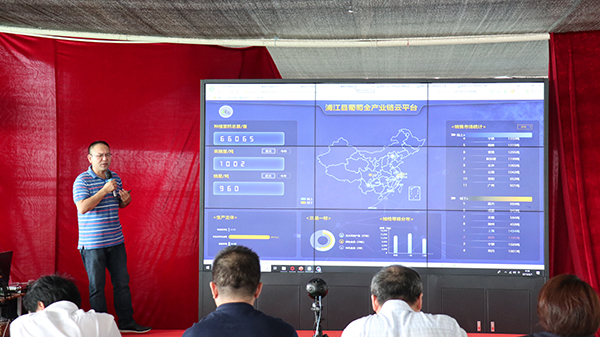 �㽭ɭ���ֽ�������ȫ��ҵ����ƽ̨չʾ