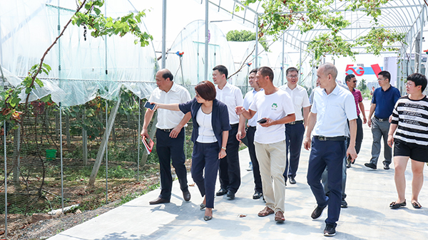 ���д������ܿ���ϵͳ