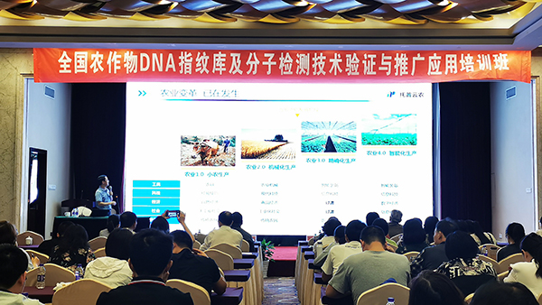 2019��������ĥ��������ѵ���ں��ٿ�