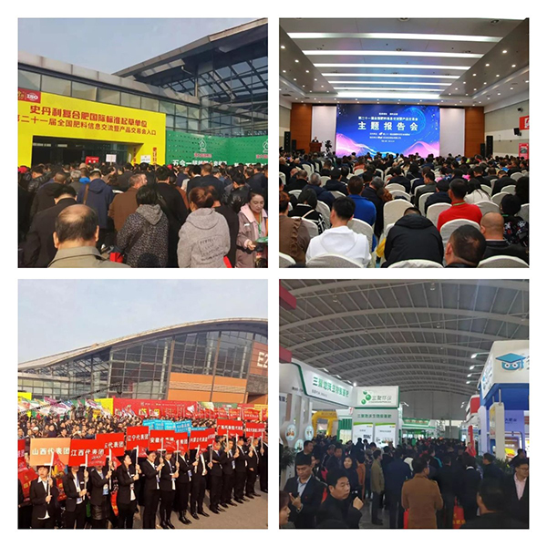 �ڶ�ʮһ�����·���˫����