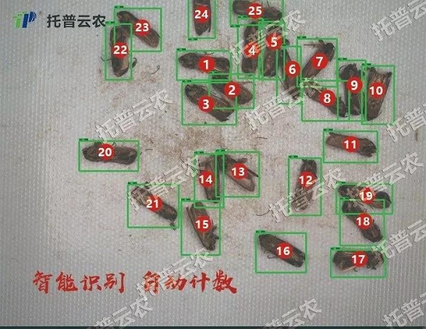 ����ʶ��