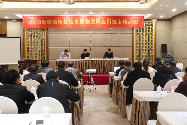 97¹ú¼ÊЧÀͺþÄÏʡֲ±£ÐÅÏ¢ÊÖÒÕÅàѵ°àÔÚº¼¿ª°à 97¹ú¼ÊЧÀͺþÄÏʡֲ±£ÐÅÏ¢ÊÖÒÕÅàѵ°àÔÚº¼¿ª°à