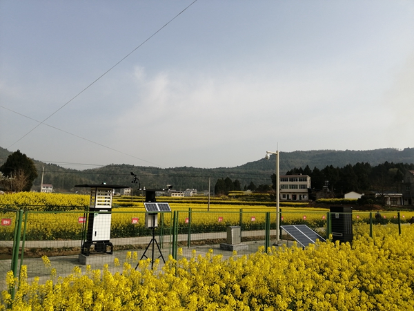 97����ֲ����Ʒ